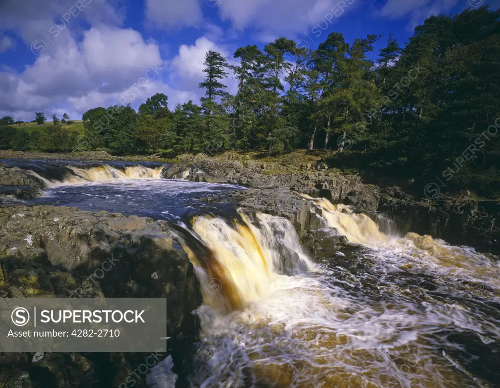England, County Durham, Teesdale. Low Force Waterfalls on the River Tees.