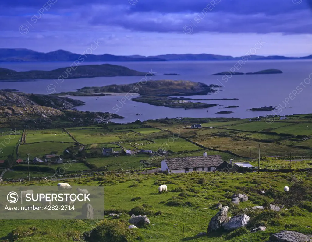 Republic of Ireland, County Kerry, Castlecove. Overlooking Castlecove on the Ring of Kerry.