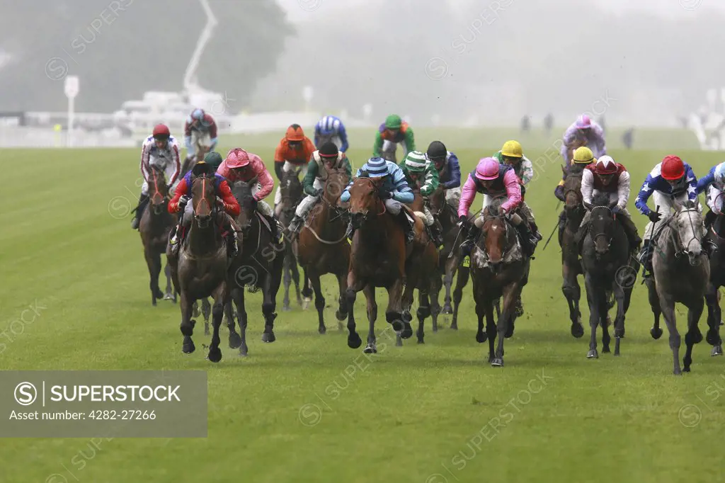 England, Berkshire, Ascot. Horses racing in the Totesport Victoria Cup at Ascot in Berkshire.