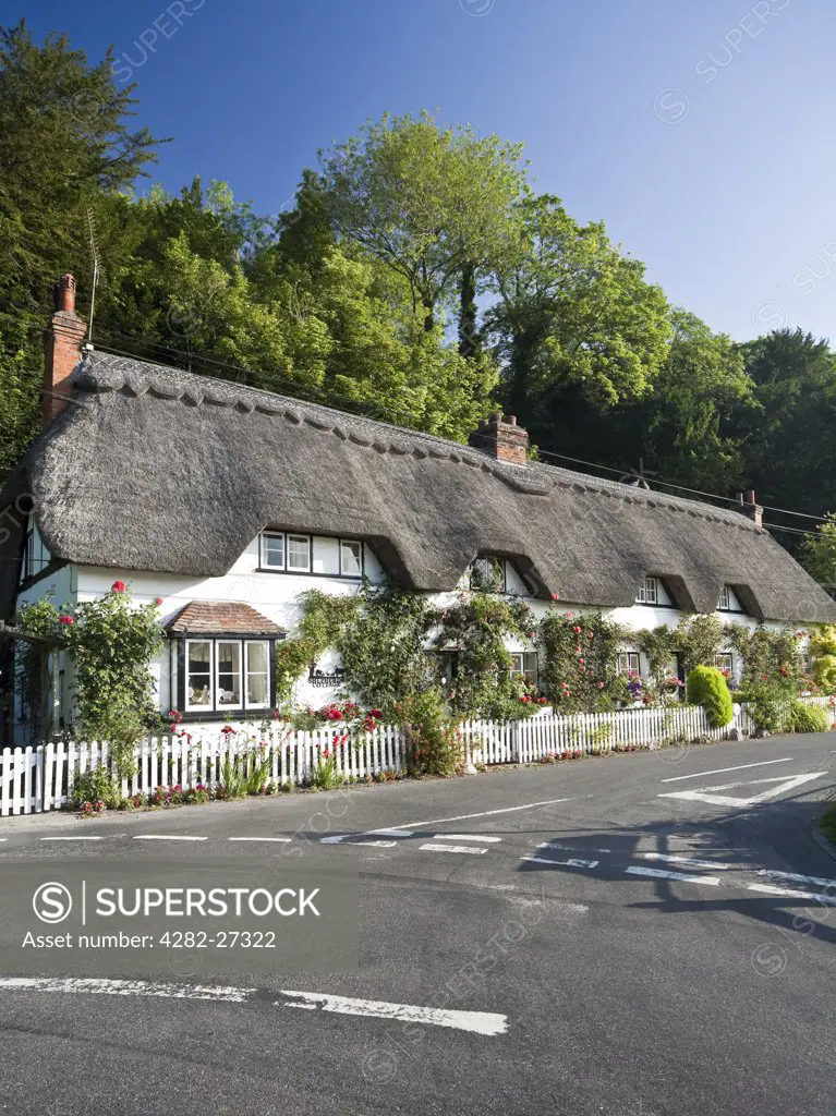 England, Hampshire, Wherwell. A row of picturesque thatched cottages.