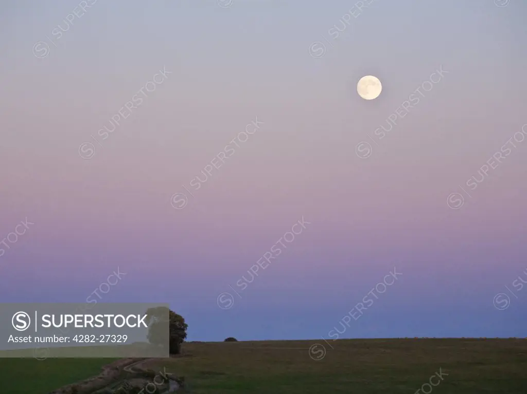 England, Berkshire, Newbury. Full Moon rises in the twilight over Walbury Hill near Inkpen.
