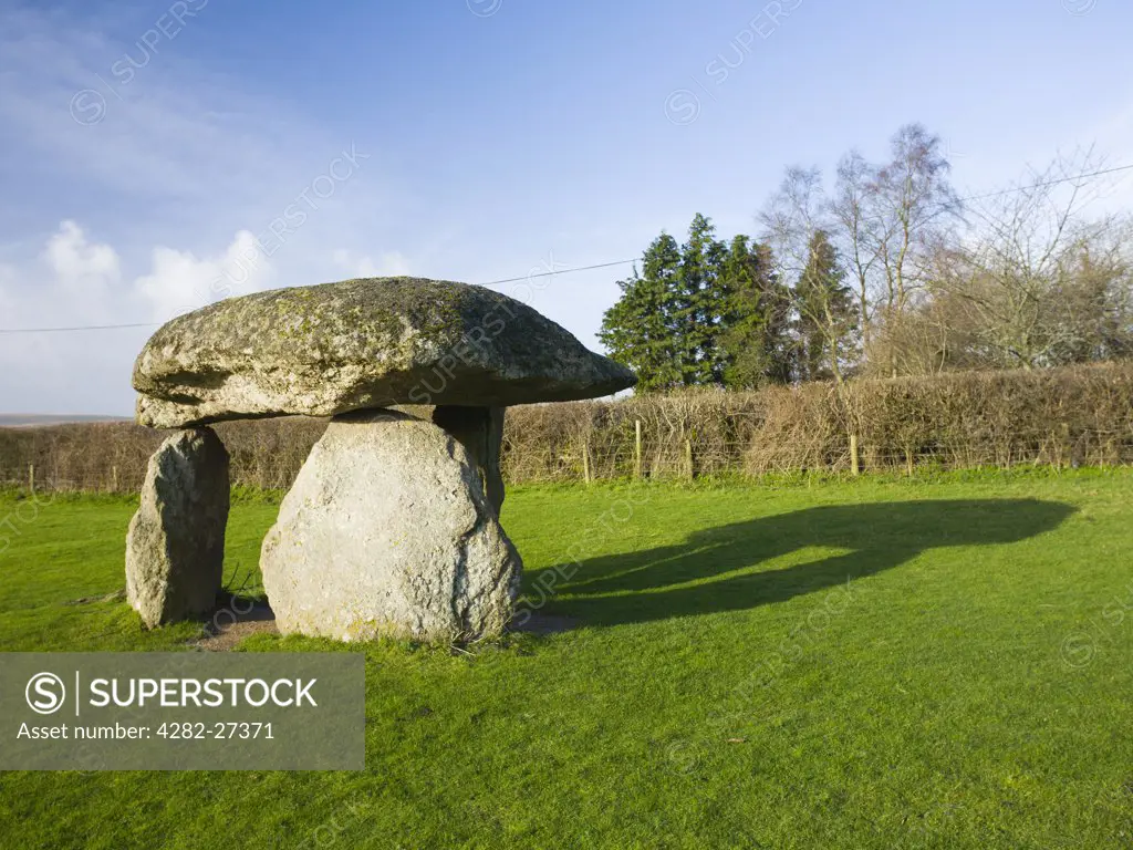 England, Devon, Dartmoor. Spinsters Rock, the remains of a neolithic burial chamber at Shilstone in Dartmoor National Park.