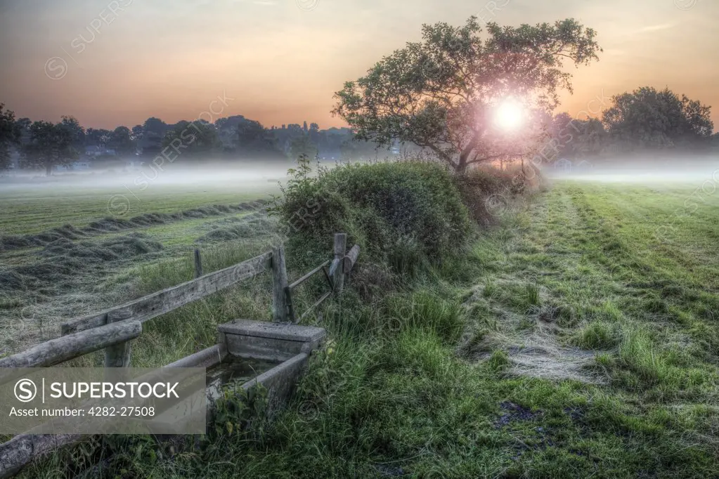 England, Nottinghamshire, Nottingham. A stone water trough in a field with low lying mist at sunrise.