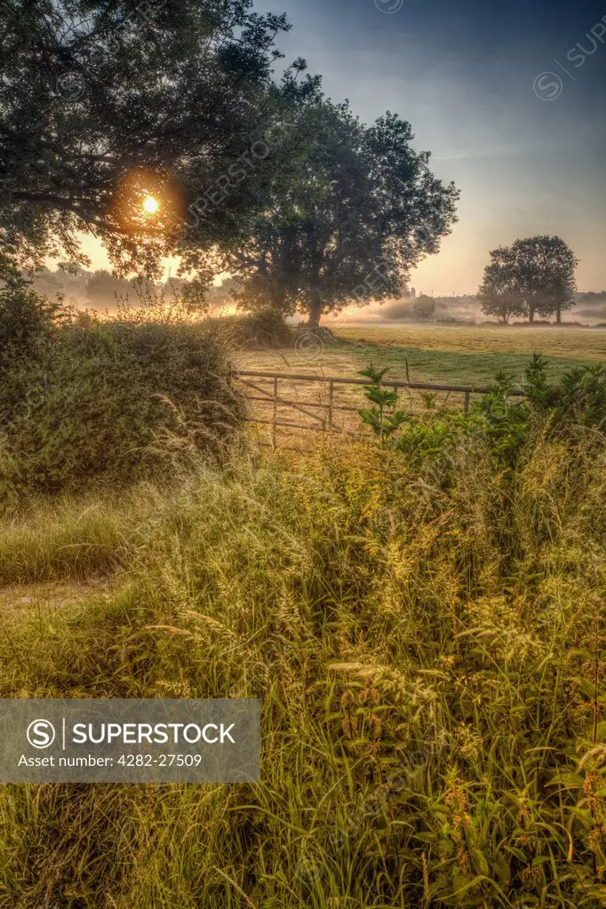 England, Nottinghamshire, Nottingham. Sunrise over fields viewed through trees.
