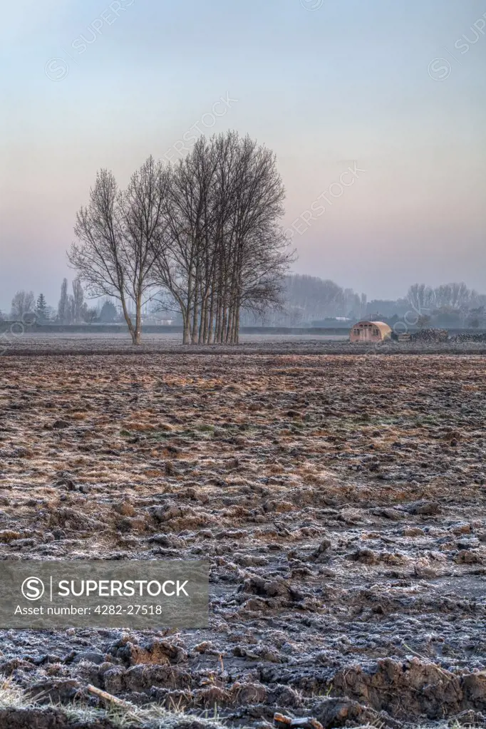 England, Cambridgeshire, Wisbech. Frost covering a ploughed field in the Cambridgeshire Fens.