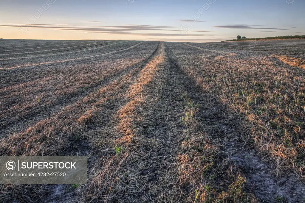 England, Nottinghamshire, Nottingham. Plough lines in a field.