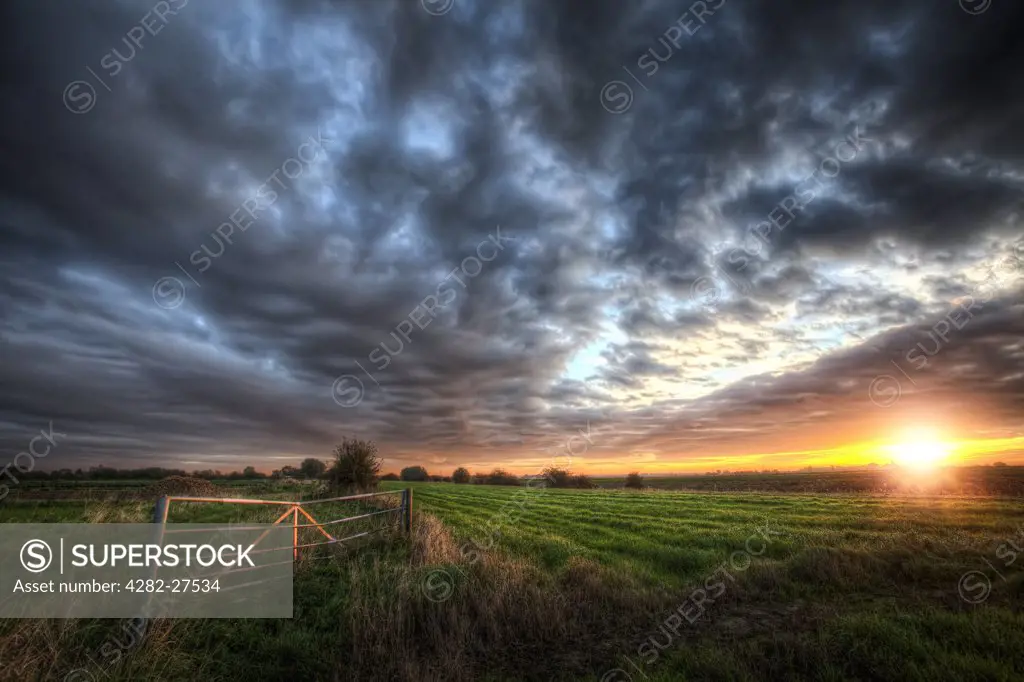 England, Cambridgeshire, Wisbech. Sunrise over a field in the Cambridgeshire Fens.