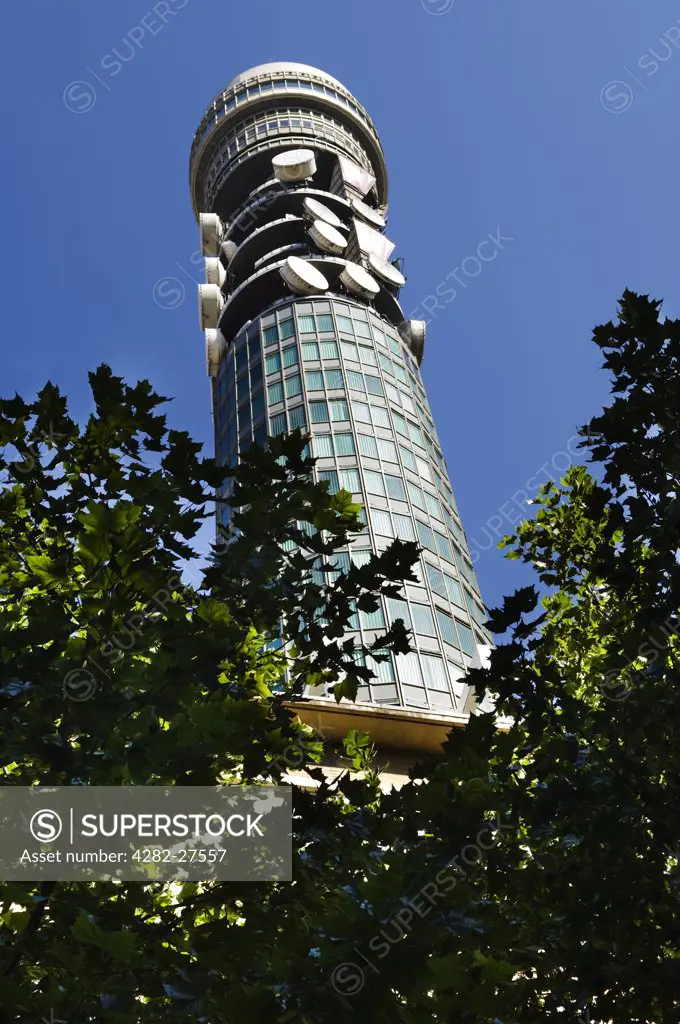 England, London, Fitzrovia. A view looking up through trees to the BT Tower.