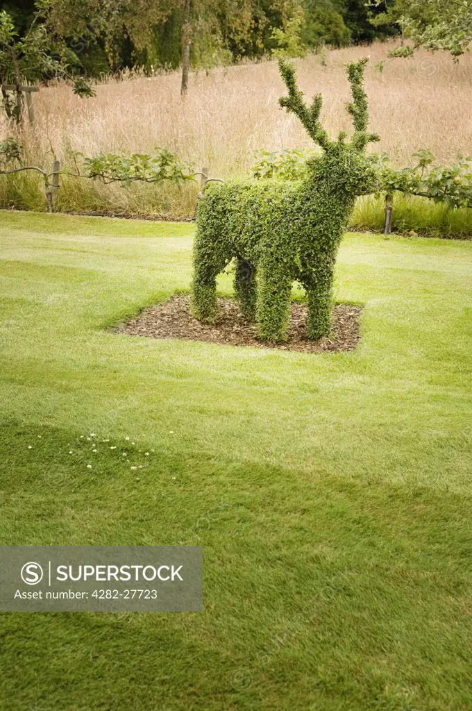 England, Kent, Hever. A bush cut into the shape of a deer (topiary) in the gardens at Hever Castle, the childhood home of Anne Boleyn.