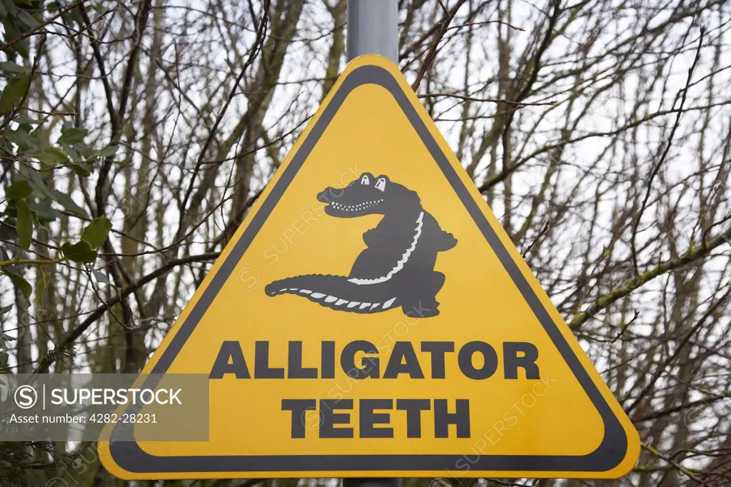 England, North East Somerset, Bath. An alligator teeth sign in Bath.