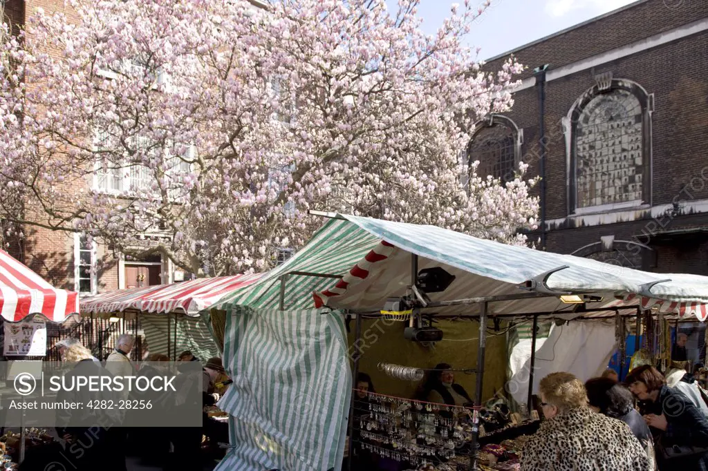 England, London, Piccadilly. A blossom tree above a stall in the Piccadilly Market area in London.
