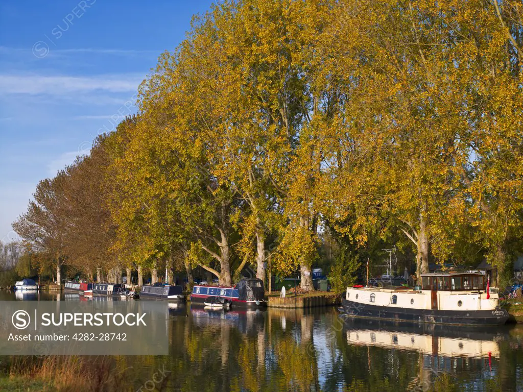 England, Gloucestershire, Lechlade. Narrow boats moored on the River Thames at Lechlade.