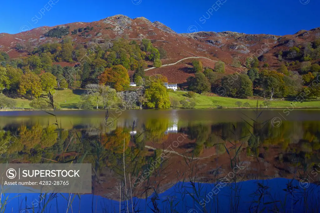 England, Cumbria, Loughrigg Tarn. Surrounding hills reflected in the still water of Loughrigg Tarn in the Lake District National Park.