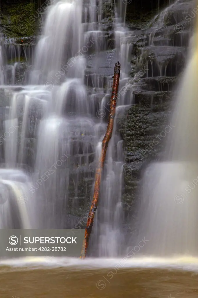 England, West Yorkshire, Harden. Harden Beck cascading over a branch at the bottom of Goit Stock Falls in Goit Stock Wood.