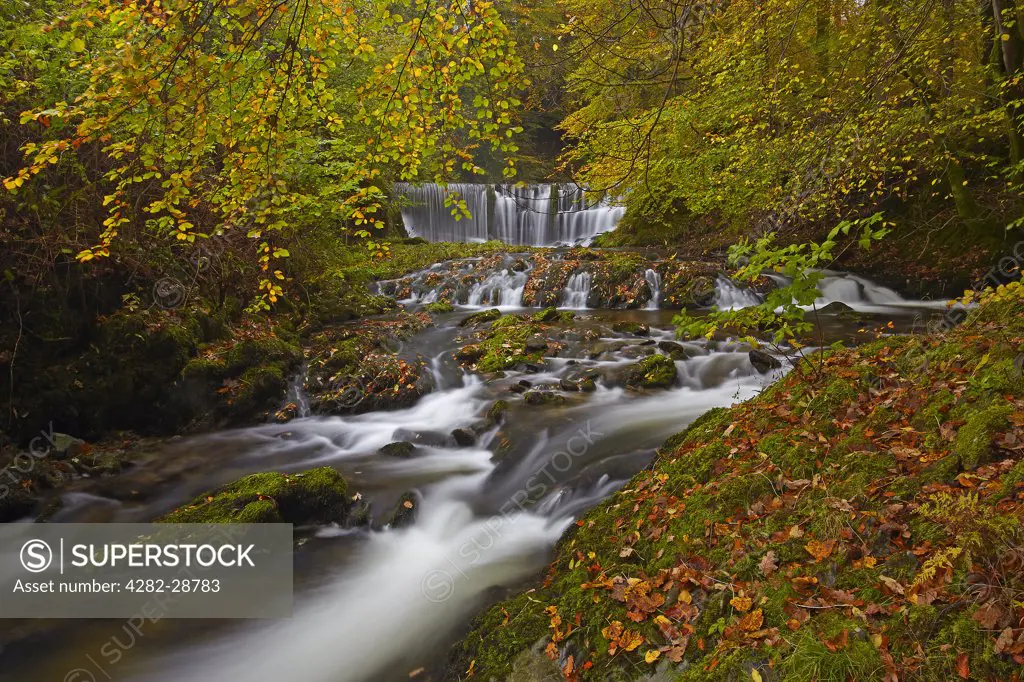 England, Cumbria, near Ambleside. Stock Ghyll flowing over a waterfall through woodland in autumn.