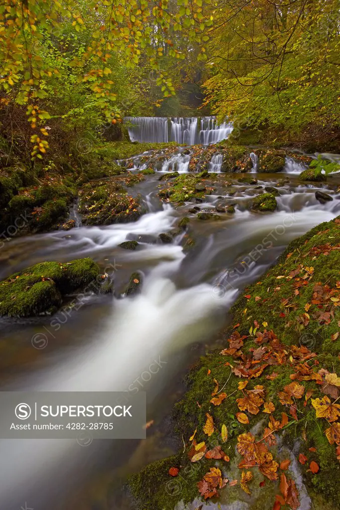England, Cumbria, near Ambleside. Stock Ghyll flowing over a waterfall through woodland in autumn.
