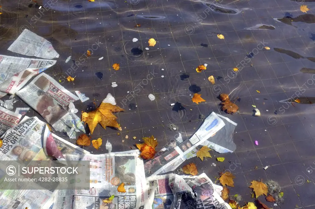 England, Essex, Basildon. Discarded newspapers and leaves floating in a pool of water.