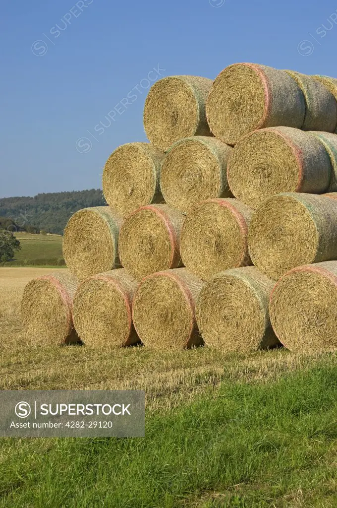 England, North Yorkshire. Bales of straw stacked in a field.