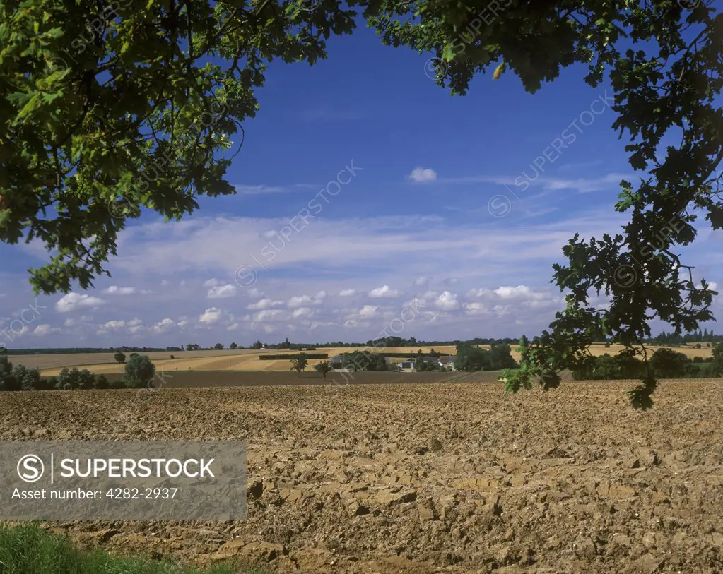 England, Suffolk, Framlingham. Ploughed fields in Suffolk.