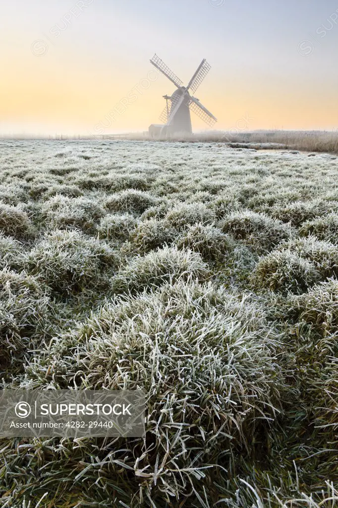 England, Suffolk, Herringfleet. View over frosty ground to Herringfleet smock mill in the mist on a winter morning.