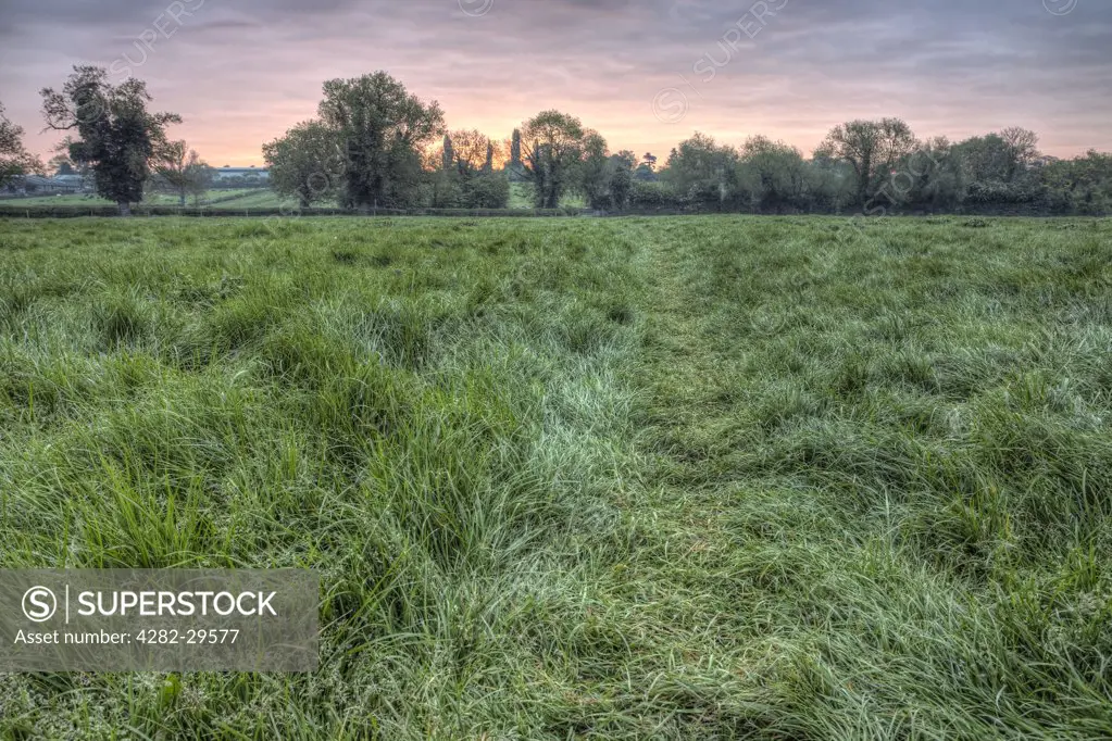 England, Nottinghamshire, Nottingham. Grassy footpath across a rural field just before sunrise.