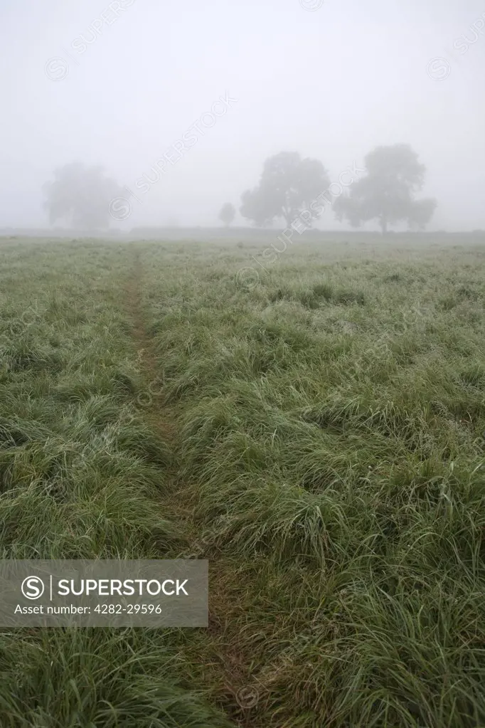 England, Leicestershire, Loughborough. A pathway across a field shrouded in fog.