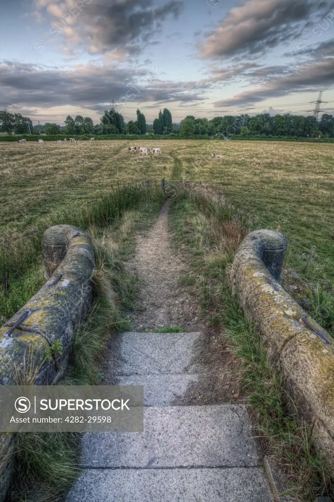 England, Leicestershire, Zouch. View from a stone bridge to cattle grazing in a field just after sunrise.