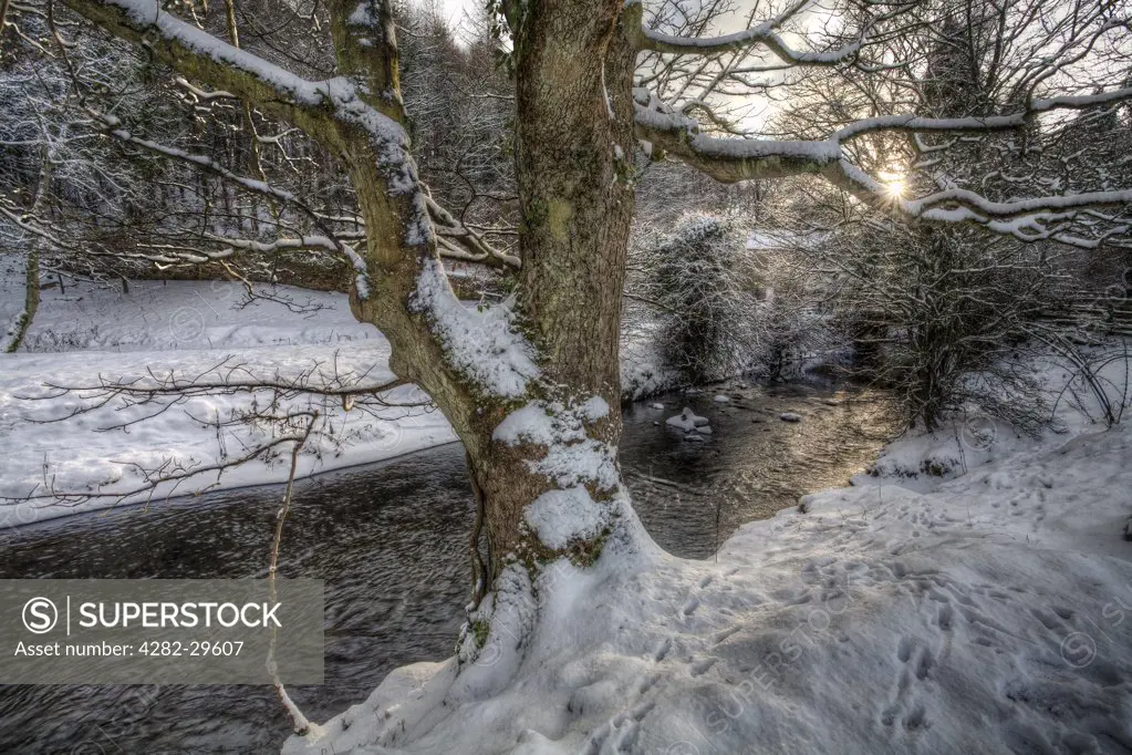 England, County Durham, Durham. Sunset over a tributary stream of the River Wear, with both banks covered in snow.