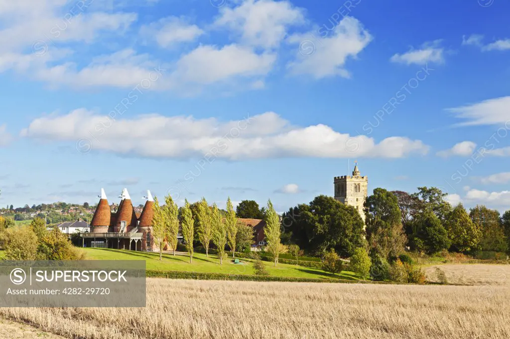 England, Kent, Horsmonden. View across a field of Hay towards the village church and oast houses at Horsmonden.