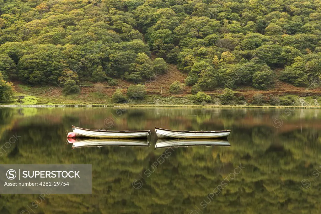 Wales, Gwynedd, Snowdonia. Two rowing boats reflected in the still water of Tal-y-llyn in Autumn.