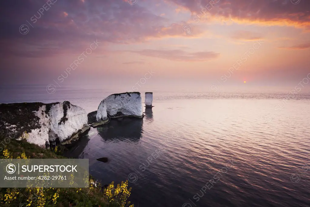 England, Dorset, Studland. Old Harry Rocks, chalk Stacks which jut out into the English Channel from the Jurassic Coast near Studland at sunrise.