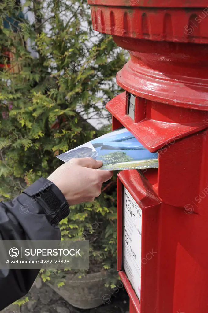 England, Cumbria, Kendal. Posting postcards into a traditional red letter box.