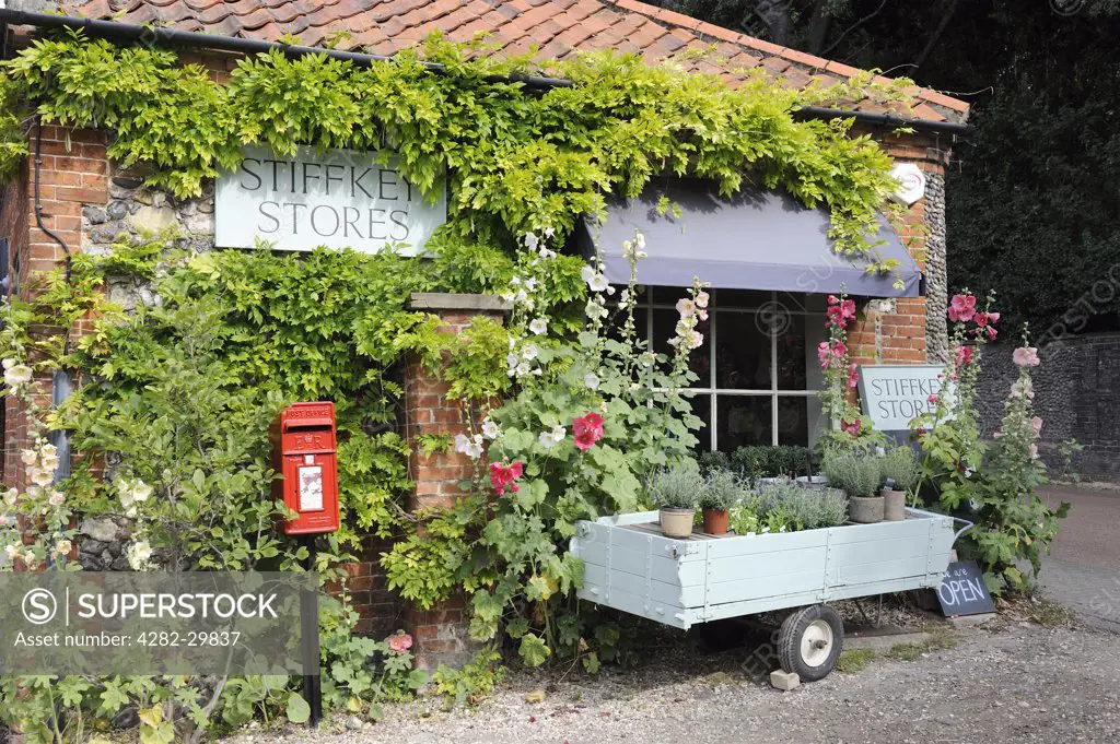 England, Norfolk, Stiffkey. Stiffkey Stores, a traditional Village shop with hollyhocks and plants for sale.