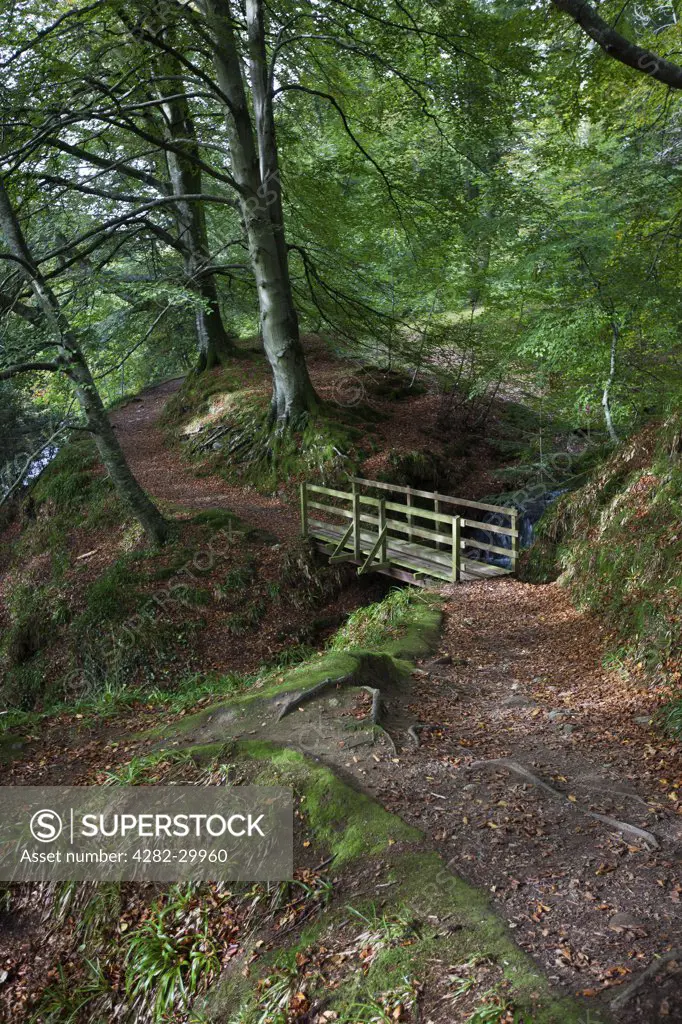 Scotland, Angus, Glen Esk. Woodland path leading over a footbridge in Glen Esk.