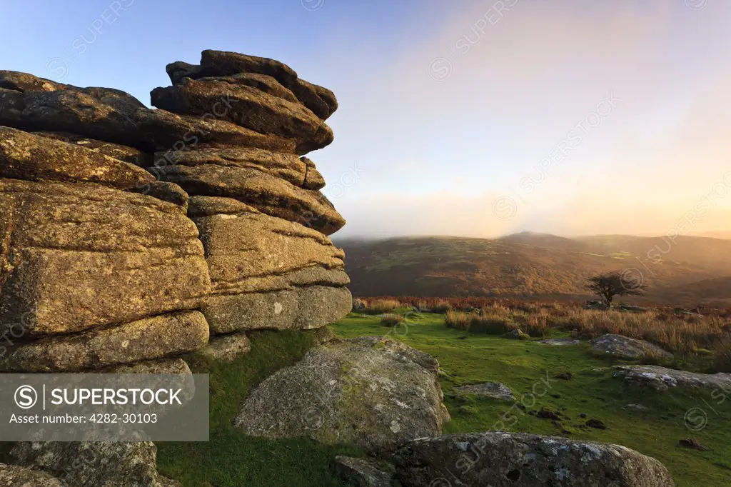 England, Devon, Combestone Tor. Early morning light on the granite outcrop of Combestone Tor in the Dartmoor National Park.