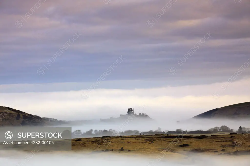 England, Dorset, Corfe Castle. Mist around Corfe Castle viewed from Kingston, showing its position guarding the only gap in the Purbeck Hills for 12 miles.