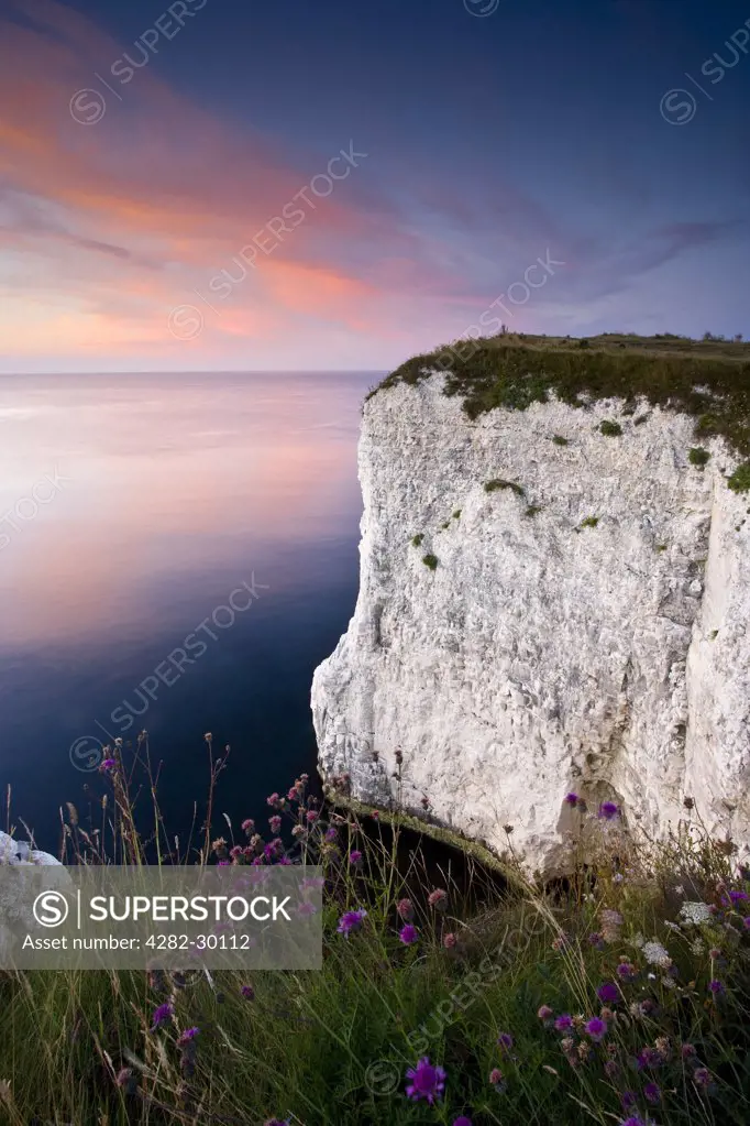 England, Dorset, Handfast Point. Sunrise over the white chalk cliffs at Handfast Point near Swanage.