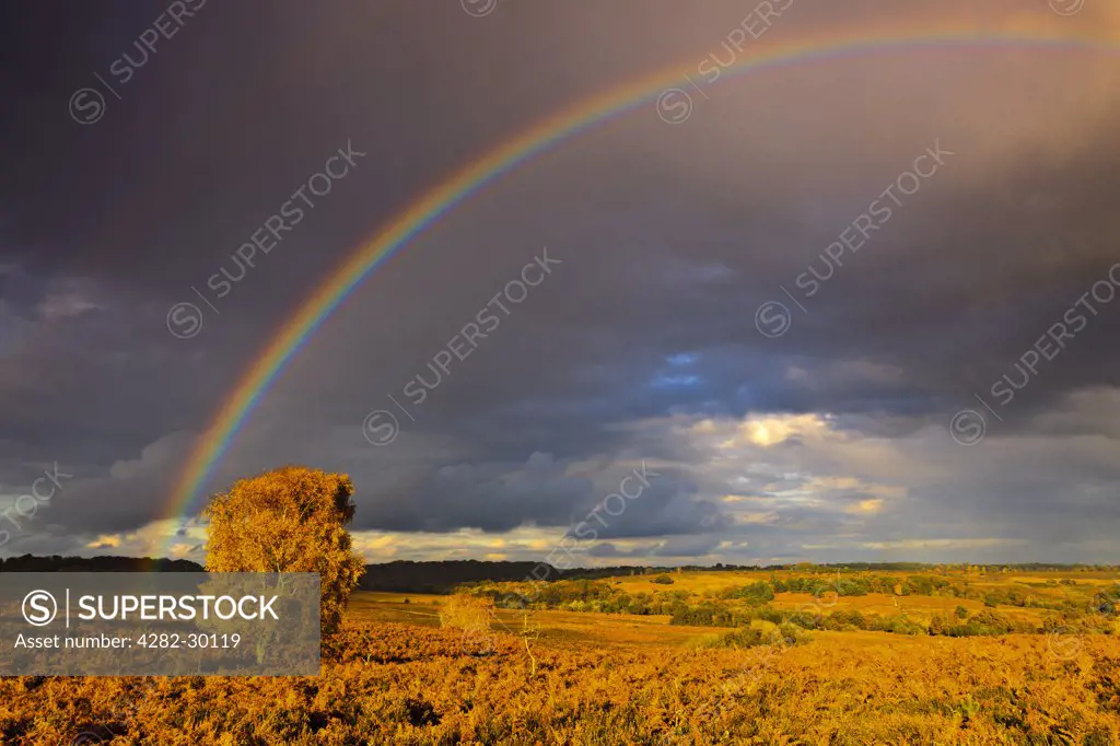 England, Hampshire, Mogshade Hill. Rainbow over heathland at Mogshade Hill in the New Forest National Park.