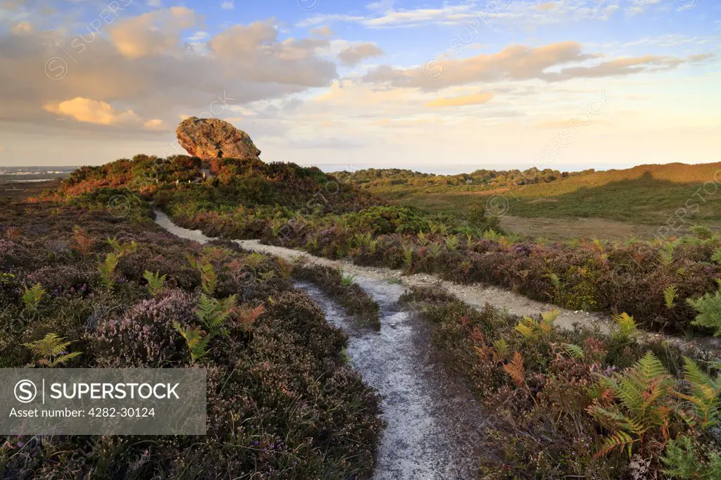 England, Dorset, Studland. Evening light at Agglestone Rock, a large sandstone rock on Studland Heath.