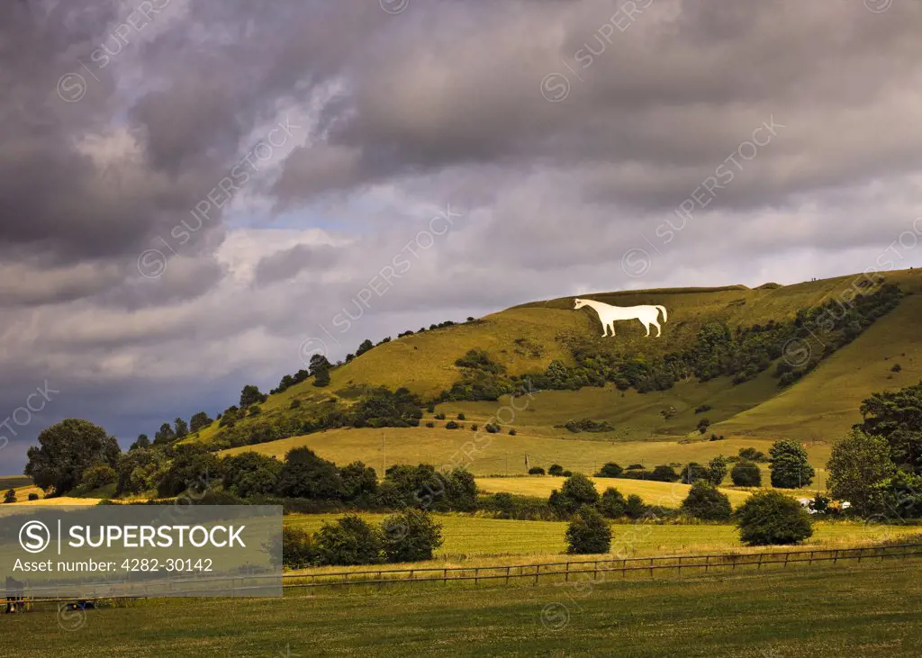 England, Wiltshire, Westbury. Stormy sky over the Westbury white horse, the oldest of Wiltshire's white horses, on the edge of the Bratton Downs.