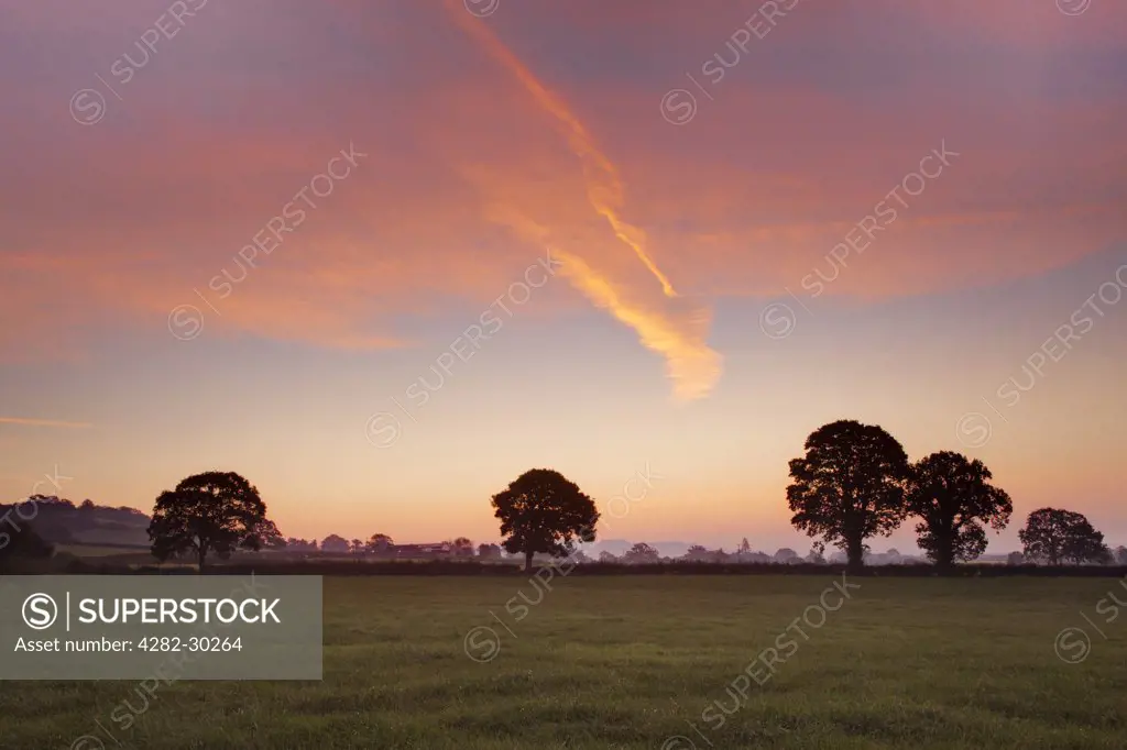 England, Somerset, Glastonbury. Pre-sunrise over agricultural pasture land.