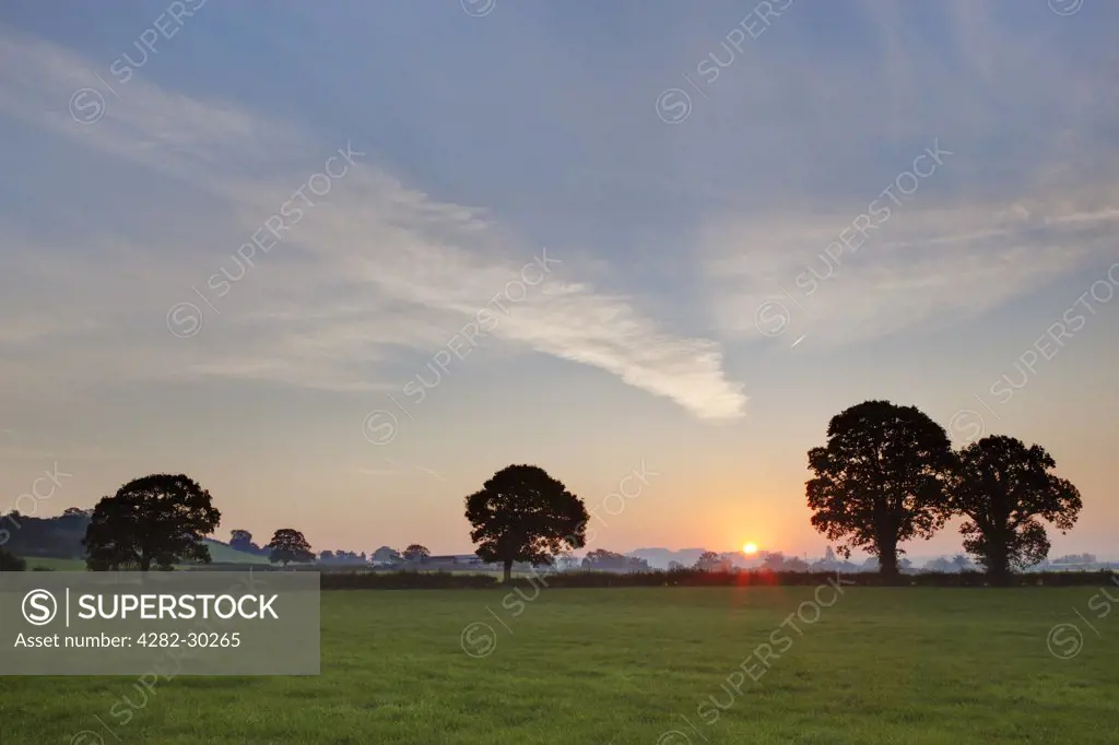 England, Somerset, Glastonbury. Sunrise over agricultural pasture land.