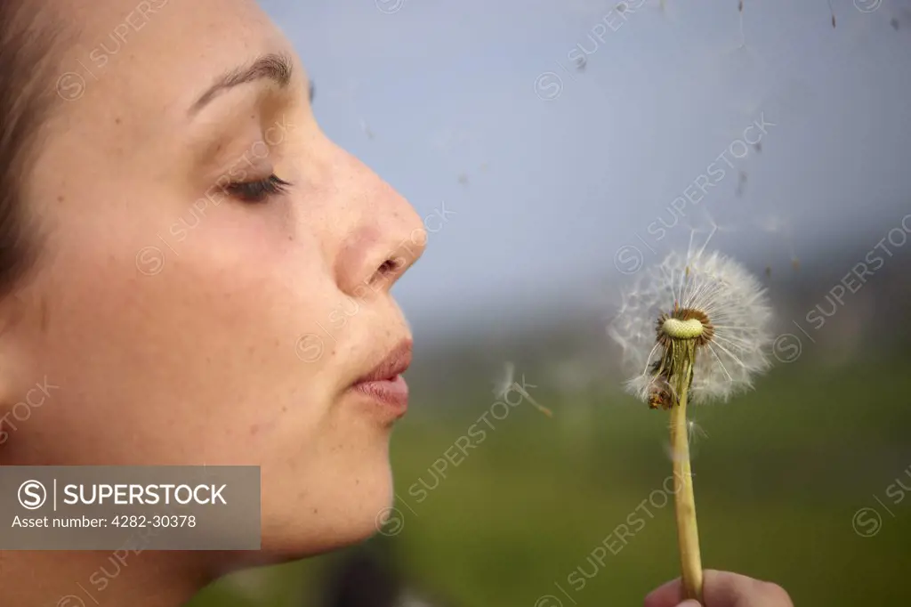 England, Bristol, Bristol. A woman blowing the seeds of a Dandelion.