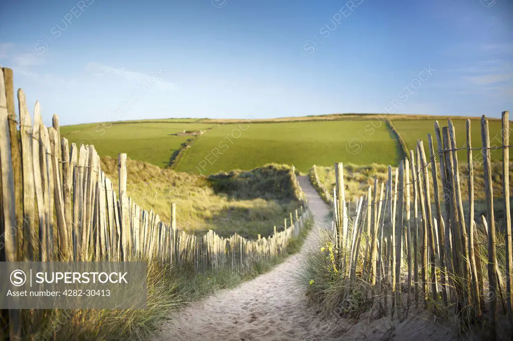 England, Devon, Bantham. A sandy path through the dunes at Bantham Beach.