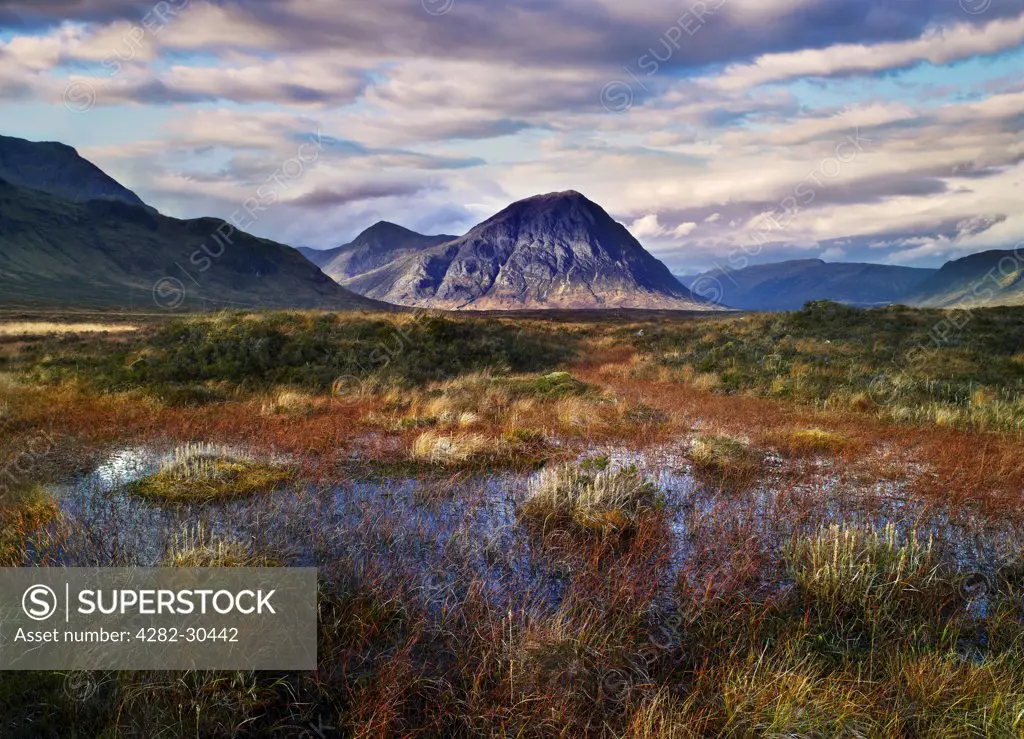 Scotland, Highland, Rannoch Moor. View across Rannoch Moor towards Buachaille Etive Mor, one of the most recognisable mountains in Scotland.