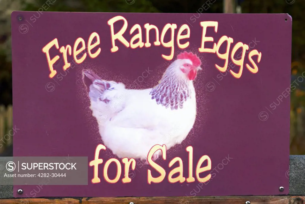 Scotland, Argyll and Bute, Dalmally. A roadside sign advertising Free Range Eggs For Sale outside a remote farm in the Scottish Highlands.