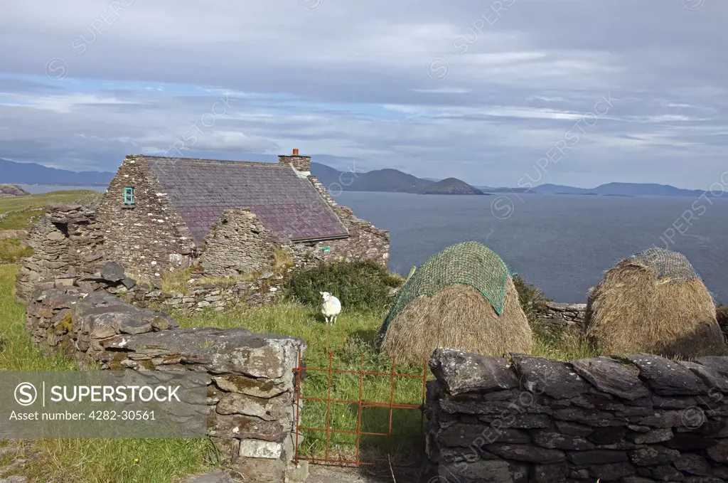 Republic of Ireland, County Kerry, Ballinskelligs. A restored cottage in Cill Rialaig, an 18th century deserted village destined for demolition until rescued by arts patron Noelle Campbell Sharpe and renovated as an artists retreat where artists may stay free of charge.