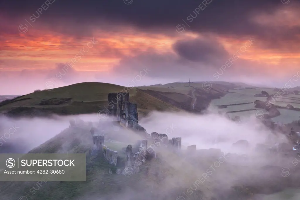 England, Dorset, Corfe Castle. The ruins of Corfe Castle rising through the morning mist.