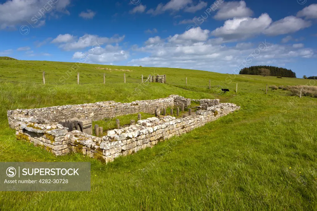 England, Northumberland, Simonburn. The Temple of Mithras (the Mithraeum) near Carrawburgh fort along Hadrian's Wall.