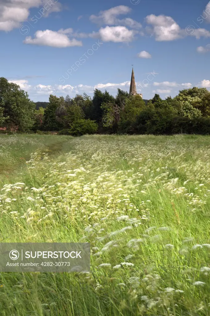 England, Nottinghamshire, Wysall. Summer view over a meadow towards Wysall Church.
